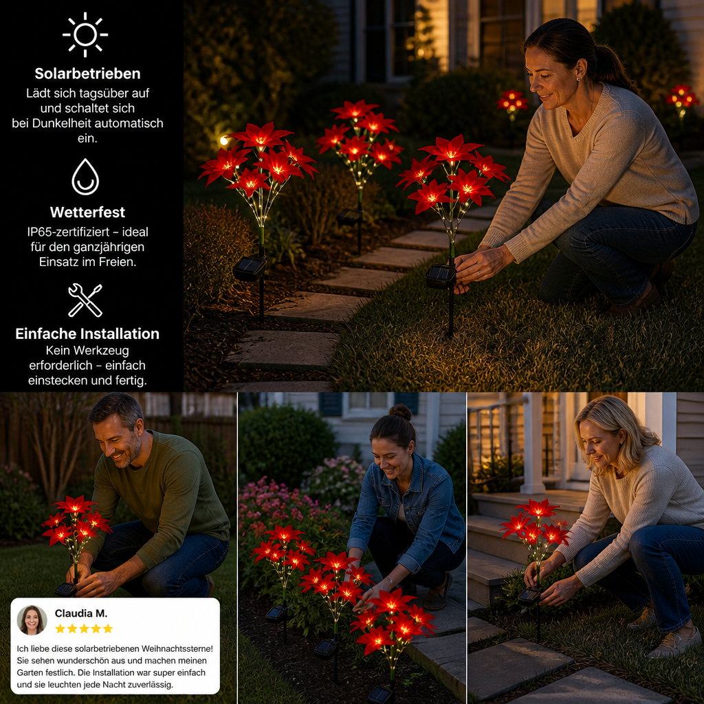 Solar-Weihnachtsstern-Gartenleuchten mit roten Blütenköpfen