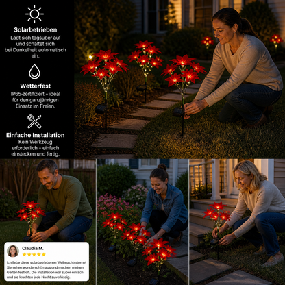 Solar-Weihnachtsstern-Gartenleuchten mit roten Blütenköpfen
