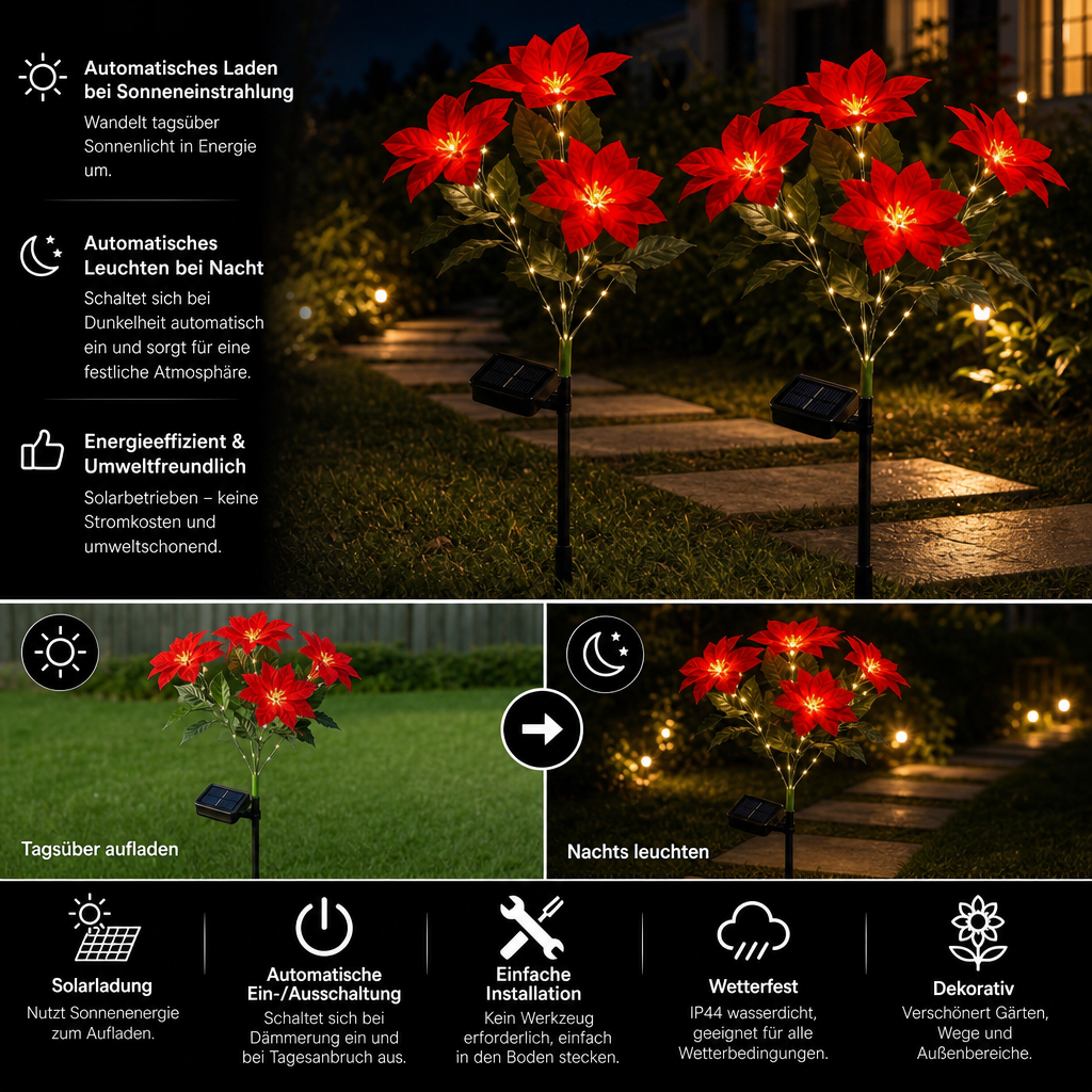 Solar-Weihnachtsstern-Gartenleuchten mit roten Blütenköpfen