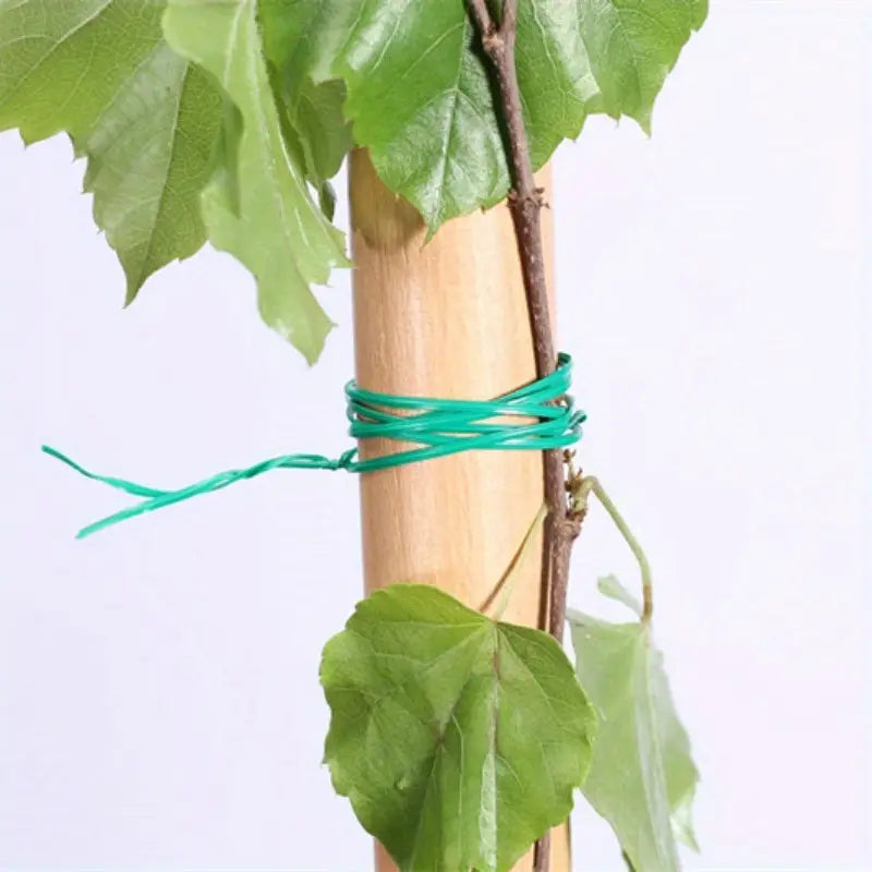 Garten Draht Twist-Band – 50m Rolle für Pflanzen und Gartenarbeit
