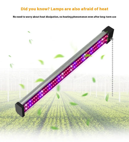 LED Pflanzenlampe mit Vollspektrum-Beleuchtung und Zugschalter für optimales Pflanzenwachstum