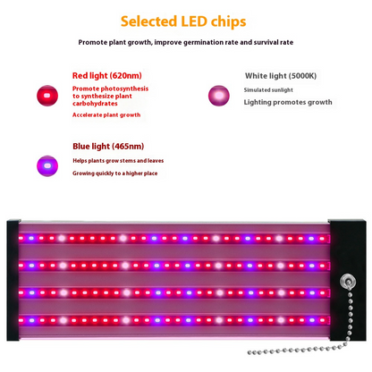 LED Pflanzenlampe mit Vollspektrum-Beleuchtung und Zugschalter für optimales Pflanzenwachstum