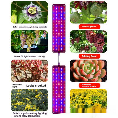 LED Quantum Pflanzenlicht Panel für Wachstum und Farbförderung – Mit einstellbarem Lichtmodus