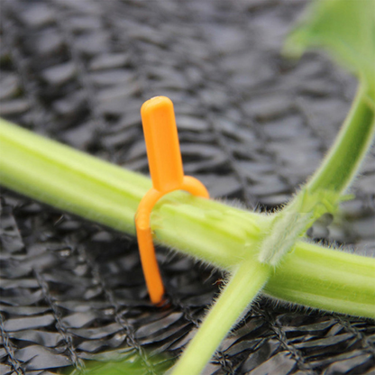 Gartenpflanzen Stützklammern aus Kunststoff für optimale Pflanzenstabilität