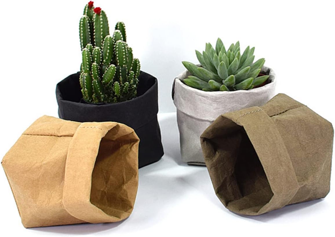 Stylische Pflanzgefäße aus Papier für moderne Dekoration