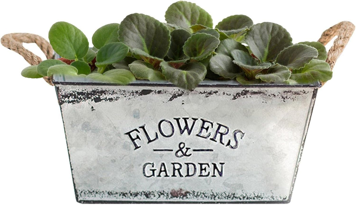 Dekorativer Blumen- und Gartenbehälter aus Metall mit Hanfseilgriffen