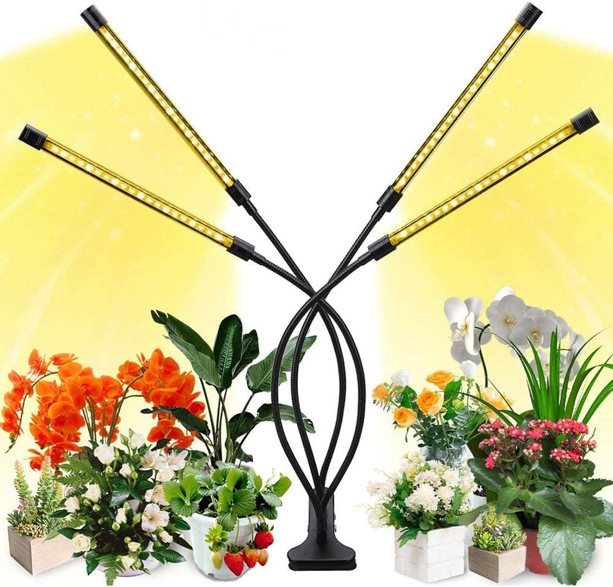 Pflanzenwachstumslicht mit 4 Flexiblen Armen und Dimmfunktion für Indoor-Gärten