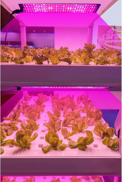 LED Quantum Pflanzenlicht Panel für Wachstum und Farbförderung – Mit einstellbarem Lichtmodus