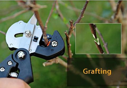 Veredelungsschere für Garten – Präzise Schnittwerkzeuge für Grafting und Veredeln von Pflanzen