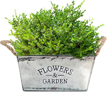 Dekorativer Blumen- und Gartenbehälter aus Metall mit Hanfseilgriffen
