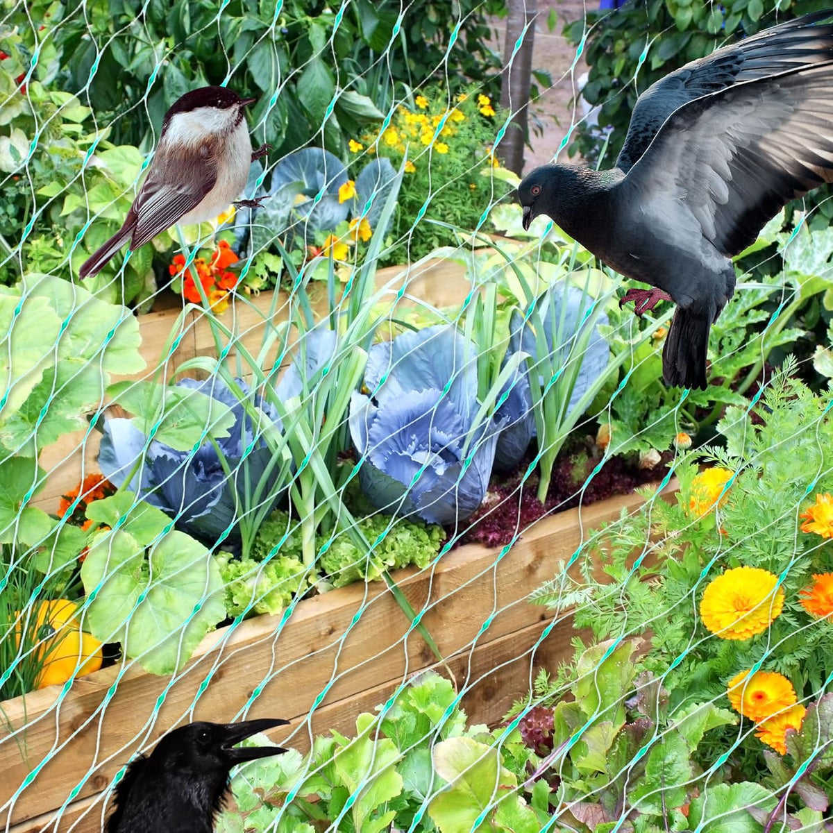 Schutznetz für Gartenpflanzen – Grünes Netz gegen Schädlinge und Tiere