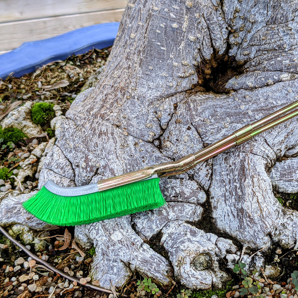 Nylonbürste für Bonsai-Stammbereich Reinigung – Gartenpflege Werkzeug