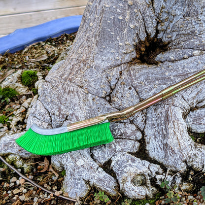 Nylonbürste für Bonsai-Stammbereich Reinigung – Gartenpflege Werkzeug