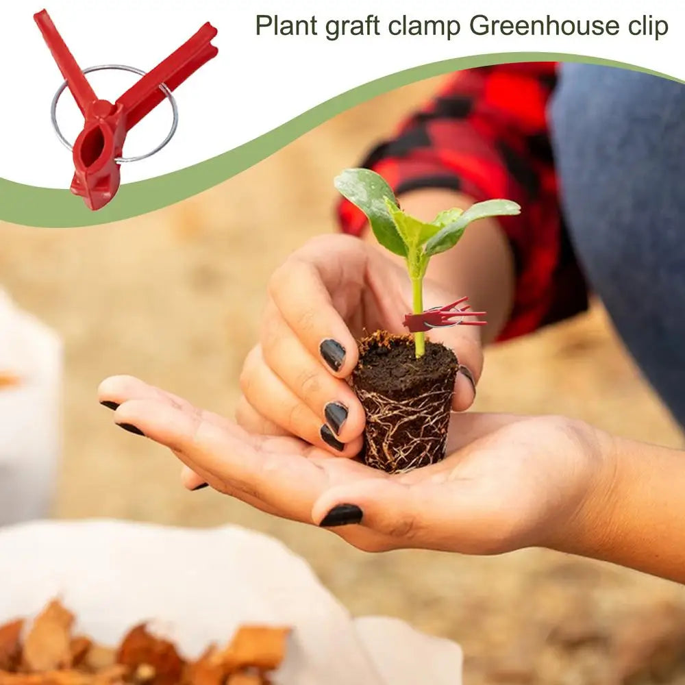 Kunststoff Veredelungsclips für Gartenpflanzen – Ideal für Gemüse und Pflanzenpflege