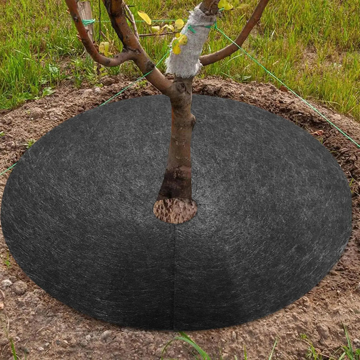 Unkrautvlies Baumscheibe – Atmungsaktive Wurzelschutzmatte für Garten und Pflanzen